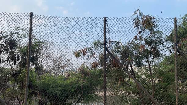 Iron Nets in Hyderabad